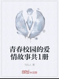 青春校园的爱情故事共一册