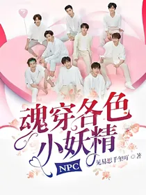 NPC：魂穿各色小妖精