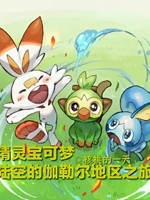 精灵宝可梦之陆空的伽勒尔地区之旅