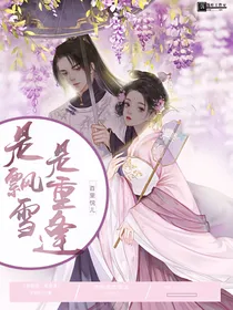 是飘雪，是重逢