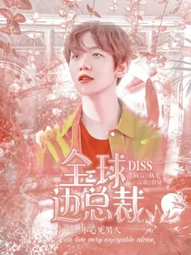 全球DISS边总裁