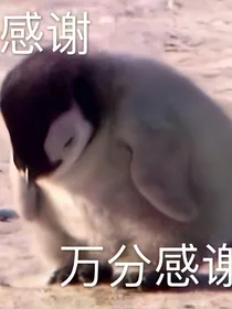 我们都后悔了