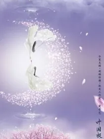 宸汐缘之迟来的爱恋
