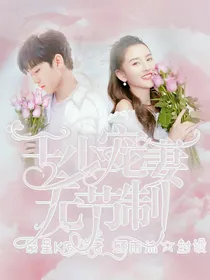 王少宠妻无节制
