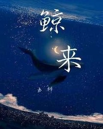 鲸来