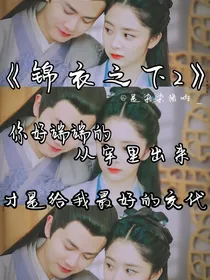 锦衣之下2之情愫绵绵