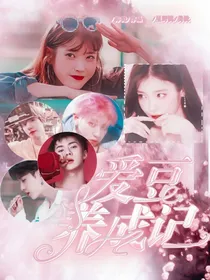 爱豆养成记