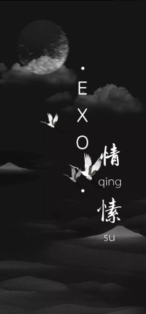 EXO：情愫