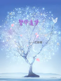 神兵小将：繁华遗梦