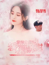 爱情公寓5:软糖鼾甜