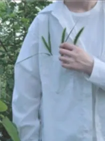 不止青春