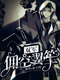 双军:佣空翼笙