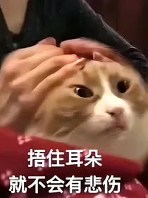 亲爱的你们啊