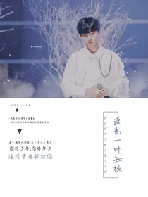 追光.一叶知秋
