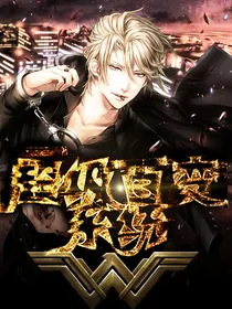 超级百变系统-d329