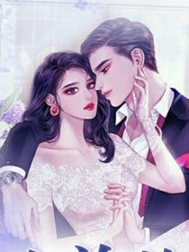 霸道男，女总裁之三