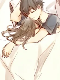 杉树风信