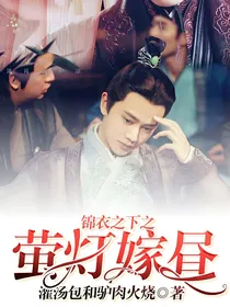 锦衣之下之莹灯嫁昼