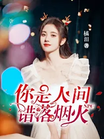 NPC：你是人间错落烟火