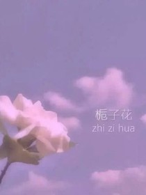 幻梦之轮