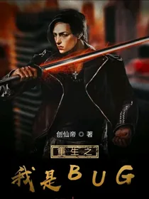 重生之我是bug（辰凡）