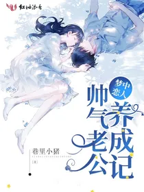 梦中恋人帅气老公养成记