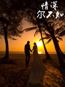 情深尔不知