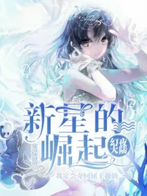 幻夜大陆——新星的崛起