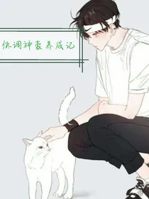 低调神豪养成记