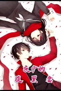 夜少的腹黑妻