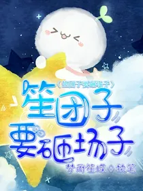 笙团子要砸场子（封面）