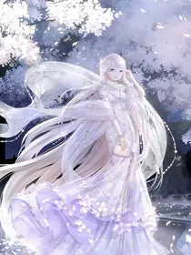 斗龙战士之古言风情