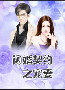闪婚契约之宠妻