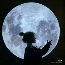 你的总裁大人