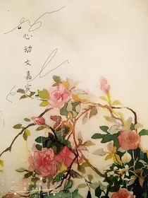 心动女嘉宾