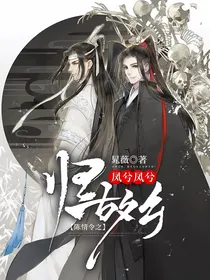 陈情令之凤兮凤兮归故乡