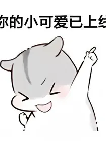 我家有喜之续集