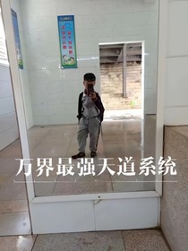 万界最强天道系统