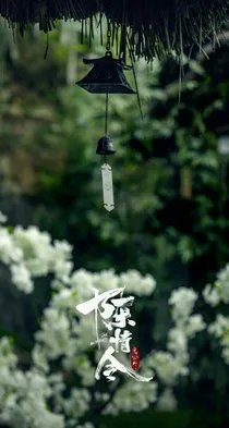 陈情令：之婚后生活