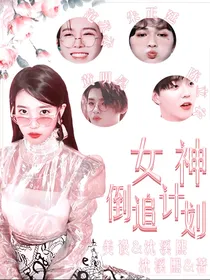 NPC—女神倒追计划