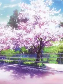 曦光汐月