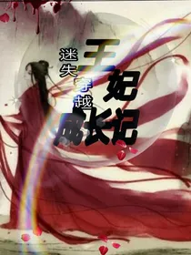 迷失穿越：王妃成长记
