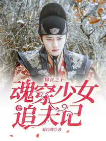 锦衣之下:魂穿少女追夫记
