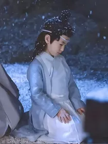 陈情令之辞翎录
