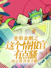 变形金刚之这个情报官有点骚