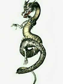 逍遥九龙
