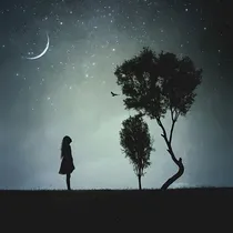 清淡人生
