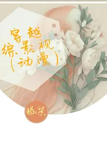 穿越综影视