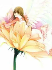 白莲花PK柔弱女主