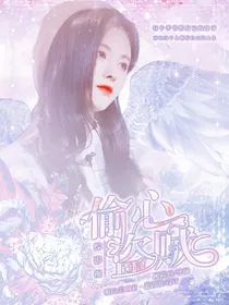 综影视：偷心盗贼